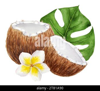 Weiße Frangipani, grüne Monstera Blätter Illustration. Handgezeichnetes Aquarell-Clip-Art von exotischen Blumenklemmen. Tropische Malerei für die Hochzeit Stockfoto