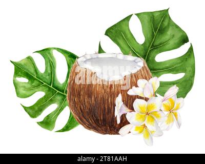 Weiße Frangipani, grüne Monstera Blätter Illustration. Handgezeichnetes Aquarell-Clip-Art von exotischen Blumenklemmen. Tropische Malerei für die Hochzeit Stockfoto