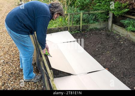 Keine Gartenarbeit. Pappe schneiden, um Boden im Gemüsebeet zu bedecken und Unkraut im Winter zu unterdrücken. Anschließend mit Kompost bewässert und bedeckt. Stockfoto