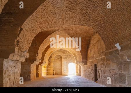 Uthina, Ben Arous, Tunesien. Im Inneren der römischen Ruinen an der archäologischen Stätte Uthina. Stockfoto