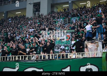 Athen, Griechenland. November 2023. Panathinaikos Athen Fans haben Spaß beim Spiel der Euroleague, Runde 9, zwischen Panathinaikos Athen und Virtus Bologna am 17. November 2023 in Oaka Altion in Athen. Quelle: Unabhängige Fotoagentur/Alamy Live News Stockfoto