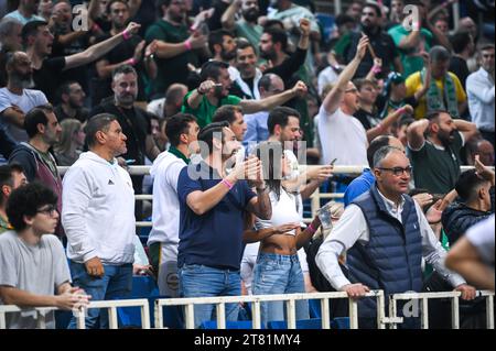 Athen, Griechenland. November 2023. Panathinaikos Athen Fans haben Spaß beim Spiel der Euroleague, Runde 9, zwischen Panathinaikos Athen und Virtus Bologna am 17. November 2023 in Oaka Altion in Athen. Quelle: Unabhängige Fotoagentur/Alamy Live News Stockfoto