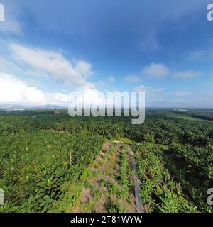 Panoramablick auf die Umgebung rund um die Palmölplantagen. Stockfoto