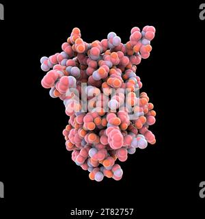 Menschliches Wachstumshormonmolekül, Illustration Stockfoto
