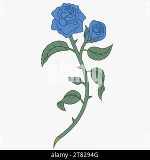 Vektor-Design eines Blumenstraußes von Rosen, mit Blättern, Blüten und Dornen, Geschenk für Liebhaber, Pflanze zur Dekoration Stock Vektor