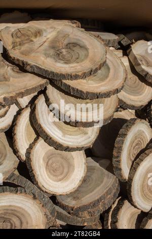 Kleines Stück Holzstämme geschnitten für Holz Textur Hintergrund verwendet Stockfoto