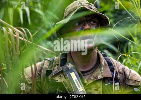 13. November 2023 - Oiapoque, ParÃ, Brasilien - Soldat der US-Armee, Stabsleiter Logan Clapham, Anführer des 1. Bataillons, 26. Infanterieregiment, 2. Brigade Combat Team, 101. Luftlandedivision (Luftangriff), schaut während einer Dschungelaufklärung auf einer Insel in Oiapoque, Brasilien, durch das Laub. während der Übung Southern Vanguard 24. November. 13, 2023. Southern Vanguard, eine jährliche bilaterale Übung, die sich zwischen den Partnerländern im Zuständigkeitsbereich des U.S. Southern Command dreht, soll die Interoperabilität der Partner zwischen den USA und den USA verbessern Stockfoto