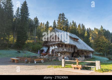 Traditionelles Schwarzwaldhaus in Süddeutschland, Mühlenmuseum in der Tannenmühle, Baden-Württemberg Stockfoto