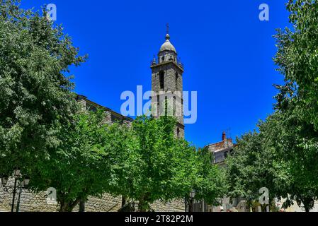 Glockenturm der Kirche Ghjesgia Santa Maria Assunta aus dem 12. Jahrhundert, erbaut mit Granit und Baumkronen, die sie umgeben Stockfoto