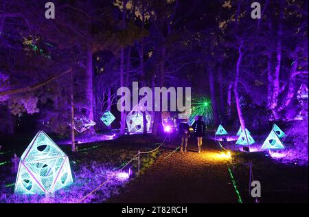 Berlin, 17. November. Januar 2024. Besucher besuchen die Lichtshow „Christmas Garden Berlin“ im Botanischen Garten in Berlin, Deutschland, 17. November 2023. Der „Christmas Garden Berlin“ startete hier am Freitag und dauert bis zum 14. Januar 2024. Quelle: Stefan Zeitz/Xinhua/Alamy Live News Stockfoto