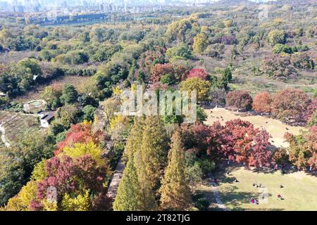 NANJING, CHINA - 18. NOVEMBER 2023 - Touristen genießen die Landschaft auf der SteinElefantenstraße des Ming Xiaoling Mausoleums im Zhongshan Scenic Area in Stockfoto