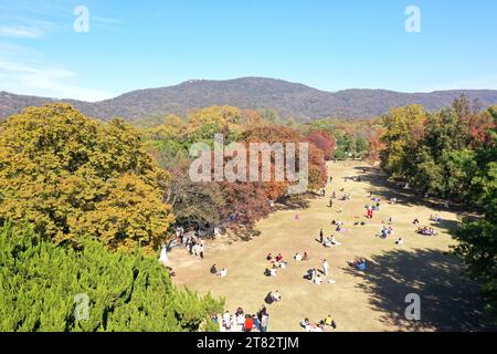 NANJING, CHINA - 18. NOVEMBER 2023 - Touristen genießen die Landschaft auf der SteinElefantenstraße des Ming Xiaoling Mausoleums im Zhongshan Scenic Area in Stockfoto