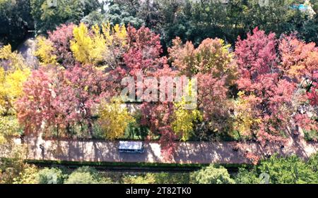 NANJING, CHINA - 18. NOVEMBER 2023 - Touristen genießen die Landschaft auf der SteinElefantenstraße des Ming Xiaoling Mausoleums im Zhongshan Scenic Area in Stockfoto