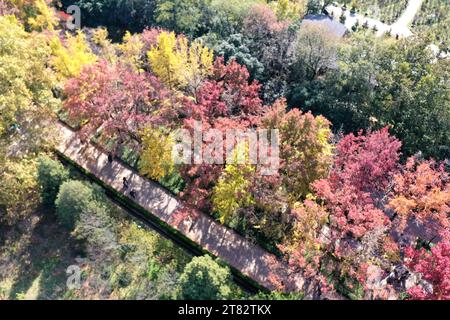 NANJING, CHINA - 18. NOVEMBER 2023 - Touristen genießen die Landschaft auf der SteinElefantenstraße des Ming Xiaoling Mausoleums im Zhongshan Scenic Area in Stockfoto