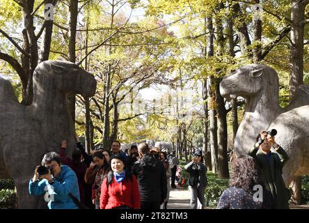 NANJING, CHINA - 18. NOVEMBER 2023 - Touristen genießen die Landschaft auf der SteinElefantenstraße des Ming Xiaoling Mausoleums im Zhongshan Scenic Area in Stockfoto