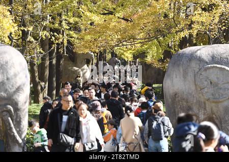 NANJING, CHINA - 18. NOVEMBER 2023 - Touristen genießen die Landschaft auf der SteinElefantenstraße des Ming Xiaoling Mausoleums im Zhongshan Scenic Area in Stockfoto