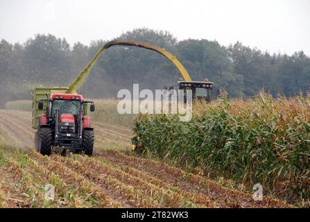 03.10.2011 Maisernte Deutschland/Niedersachsen/Landkreis Gifhorn/bei Schönewörde/bäuerliche Landwirtschaft/Maisernte/Maisfeld/Mais wird mit einem Hecksler geerntet und per Förderschnecke in einem Anhänger der von einem Traktor gezogen wird befördert/ Nutzung nur redaktionell/ *** 03 10 2011 Maisernte Deutschland Niedersachsen Landkreis Gifhorn bei Schönewörde Landwirtschaft Mais Ernte Mais Feldmais wird mit einem Heckerntemaschine geerntet und mit der Schnecke in einen Anhänger transportiert, der von einem Traktor gezogen wird. nur für redaktionelle Zwecke. Quelle: Imago/Alamy Live News Stockfoto