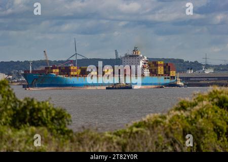 MSC Babados verlässt die Royal Portbury Docks Stockfoto