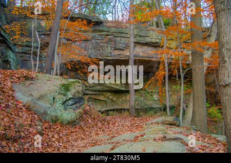 Eine atemberaubende Herbstlandschaft mit lebendigen, mit Laub bedeckten Bäumen, die aus einer kleinen Höhle wachsen, versteckt in einem friedlichen Waldgebiet Stockfoto