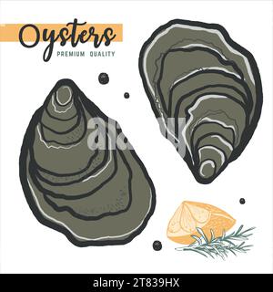 Handgezeichnete Austern isoliert, weißer Hintergrund. Vintage Austernschale Illustration, tolles Design für jeden Zweck. Gourmet-Essen. Vektorsymbol. Lineare SK Stock Vektor
