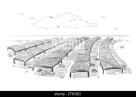 Schwarz-weiß-Zeichnung zum Thema Muschelzucht. Illustration der normannischen Austernzuchtmethode. Vektorgrafiken einer Austernfarm in Stock Vektor