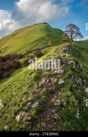 Wunderschönes Landschaftsbild von Chrome Hill im Herbst im Peak District National Park in englischer Landschaft Stockfoto