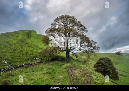 Wunderschönes Landschaftsbild von Chrome Hill im Herbst im Peak District National Park in englischer Landschaft Stockfoto