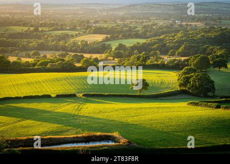 Blick auf den wunderschönen Sonnenuntergang über dem ländlichen Dorset in der Nähe des Dorfes Hilfield, England Stockfoto