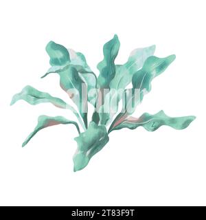 Blaue Algen, Seetang. Vektor-Meer-Illustration im Aquarellstil. Designelement für Grußkarten, Einladungen, Cover, Themenflyer und Banner. Stock Vektor