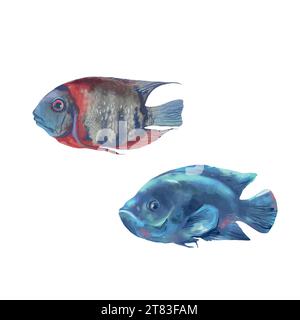 Zwei Meeresfische. Meeresleben. Vektorillustration im Aquarellstil. Designelement für Grußkarten, Lebensmittelverpackungen, Umschläge, thematische Banner und Flyer. Stock Vektor
