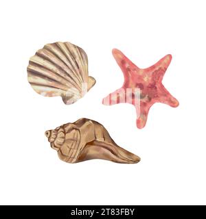 Muscheln und Seesterne. Vektor-Meer-Illustration im Aquarellstil. Designelement für Grußkarten, Cover, Themenflyer und Banner. Stock Vektor