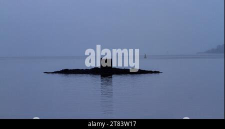 Dundee, Tayside, Schottland, Großbritannien. November 2023. Wetter in Großbritannien: Nebliger November Regen fällt über den ruhigen Fluss Tay in Dundee, Schottland. Quelle: Dundee Photographics/Alamy Live News Stockfoto