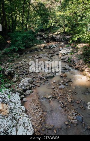 Bergbach zwischen den Felsen im Wald bei Wanderungen in der Natur Stockfoto