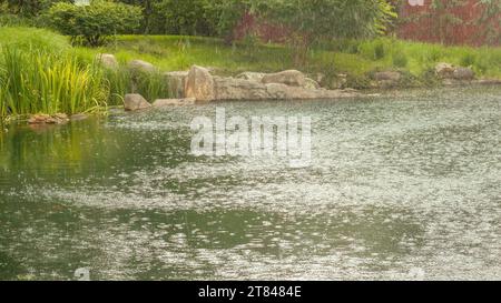 Ein See mit Bäumen vor dem Hintergrund des Sommerregens mit Spuren von Kreisen auf dem Wasser von Tropfen. Schatten von der Natur in Reflexion. Wellen, Kreise Stockfoto