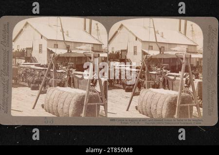 Unterholz- und Unterholz-Baumwolle in einer Mühle, saubere Baumwolle im Ballen auf einer Waage. Gelatinepapier, auf der Box / Stereoformat 1906 , 1906 Stockfoto