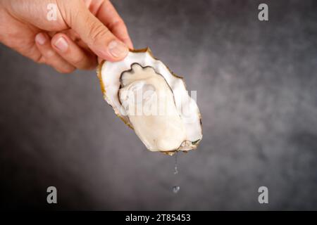 Sehr frische gedämpfte Austern in der Schale Stockfoto