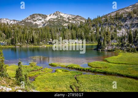 OR02791-00...OREGON - Sumpfwiesen am Ufer des Moccasin Lake im Lake Basin Area der Eagle Cap Wilderness. Stockfoto