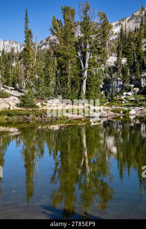 OR02794-00...OREGON - Bäume spiegeln sich im Mirror Lake im Lakes Basin Area der Eagle Cap Wilderness. Stockfoto
