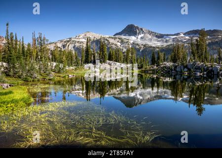 OR02800-00...WASHINGTON - Eagle Cap Peak reflektiert im Sunshine Lake; Eagle Cap Wilderness. Stockfoto