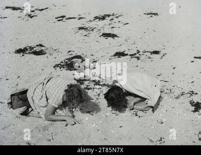 1950er Jahre, historisch, an einem heißen Sommertag, zwei Damen am Boden am Strand, die Muscheln sehen, England, Großbritannien. Muscheln können faszinierend zu untersuchen und zu sammeln sein und viele symbolische Bedeutungen haben, eine ist, dass das Halten von Muscheln in einem Korb Glück bringt. Stockfoto