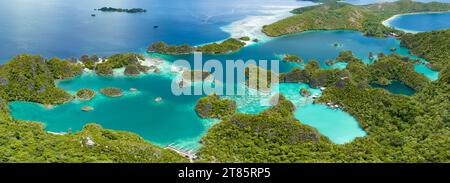 Die unglaublich malerischen Inseln von Penemu sind von wunderschönen Korallenriffen umgeben. Diese Inseln in Raja Ampat unterstützen eine große Vielfalt an Biodiversität. Stockfoto