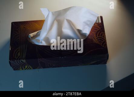 Ein Foto einer rechteckigen Tissue-Box für Erkältungen und Flecken auf einem weißen Schreibtisch. Stockfoto