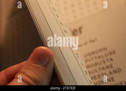 Ein Nahfoto von jemandem, der durch Kreuzworträtsel-Seiten blättert. Stockfoto