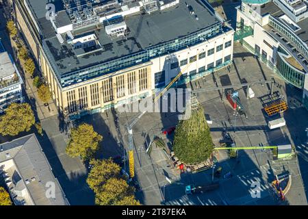 Luftbild, Aufbau des größten Weihnachtsbaums der Welt mit 45 Metern Höhe auf dem Hansaplatz, Karstadt Kaufhaus, City, Dortmund, Ruhrgebiet, Nordrhein-Westfalen, Deutschland ACHTUNGxMINDESTHONORARx60xEURO *** Luftaufnahme, Bau des größten Weihnachtsbaums der Welt mit einer Höhe von 45 Metern auf dem Hansaplatz, Karstadt Kaufhaus, Stadt, Dortmund, Ruhrgebiet, Nordrhein-Westfalen, Deutschland ACHTUNGxMINDESTHONORARx60xEURO Credit: Imago/Alamy Live News Stockfoto