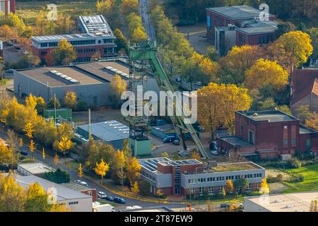 Luftbild, Industriedenkmal Zeche Kokerei Hansa mit Förderturm, umgeben von herbstlichen Laubbäumen, Huckarde, Dortmund, Ruhrgebiet, Nordrhein-Westfalen, Deutschland ACHTUNGxMINDESTHONORARx60xEURO *** Luftansicht, Industriedenkmal Hansa Kokerei mit Windeturm, umgeben von herbstlichen Laubbäumen, Huckarde, Dortmund, Ruhrgebiet, Nordrhein-Westfalen, Deutschland ATTENTIONxMINDESTHONORARx60xEURO Credit: Imago/Alamy Live News Stockfoto