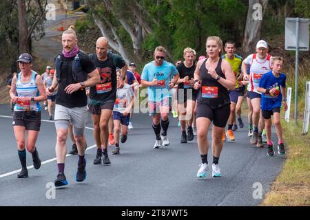 Die Teilnehmer des jährlichen Point-to-Pinnacle-Rennens fahren einen Halbmarathon vom Wrest Point Casino bis zum Gipfel des Kunanyi/Mount Wellington in Hobart, Tasmanien, 19. November 2023 Stockfoto