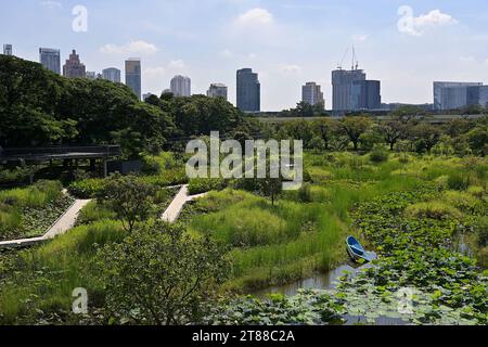 Der 2022 eröffnete Forest Park ist eine Erweiterung des Benjakitti Parks in Bangkok und übernimmt Land, das früher von der Tobacco Authority of Thai besetzt wurde Stockfoto