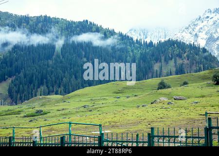 Jetzt bedeckter Berg in der Bergstation von Sonamarg in Jammu Kaschmir indien. Stockfoto