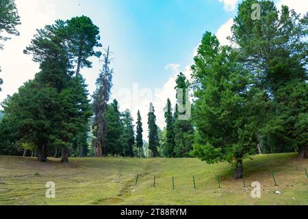 Landschaft in Gulmarg, Jammu und Kaschmir Indien. Stockfoto