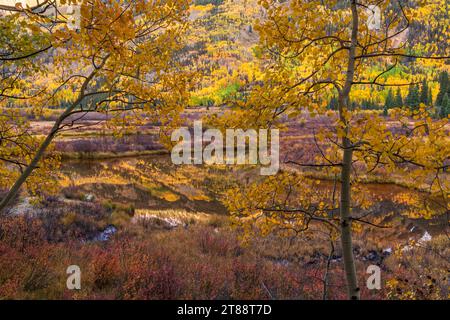 Herbstfarbene Espen am Brown Mountain spiegeln sich in einem Biberteich am Ironton Marsh in der Nähe des Milion Dollar Highway in der Nähe von Ouray, Colorado. Stockfoto